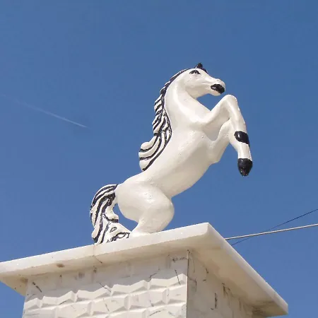 Bianca * Vlore